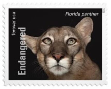 2023 US Endangered Species First Class Postage Forever Stamps
